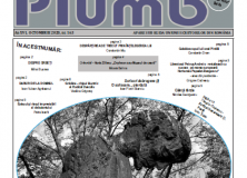 “Plumb” – octombrie 2020